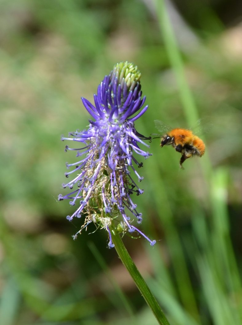 IMAGE_3BE435F3-421E-434B-8866-A35E79A8DF0A